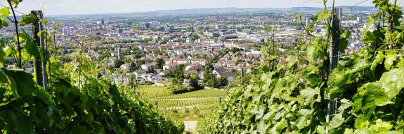 Blick auf Heilbronn vom Wartberg