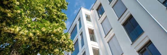 Grüner Baum mit Hochhaus