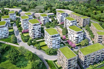 Luftbild vom Gebiet Hochgelegen